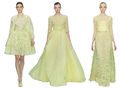 <a href="http://www.eliesaab.com/#/en/haute-couture/ss-2012" target="_blank">rdo: Elie Saab Spring 2011</a>